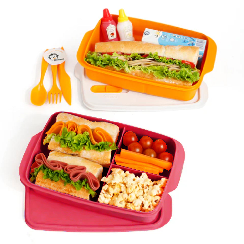Two bento boxes with food compartments on a white background