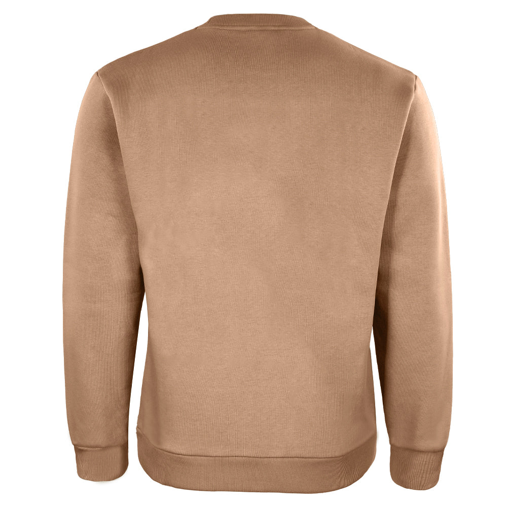 ACTIV GRAPHIC R.NECK SWEATSH - D.BEIGE